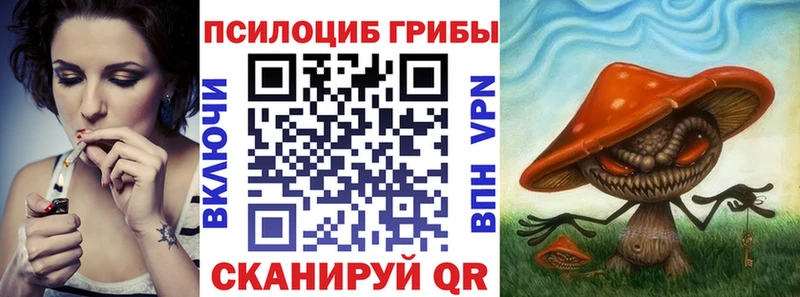 Купить где  Полярный  Галлюциногенные грибы Magic Shrooms 
